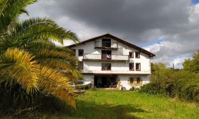 3252078-29379358