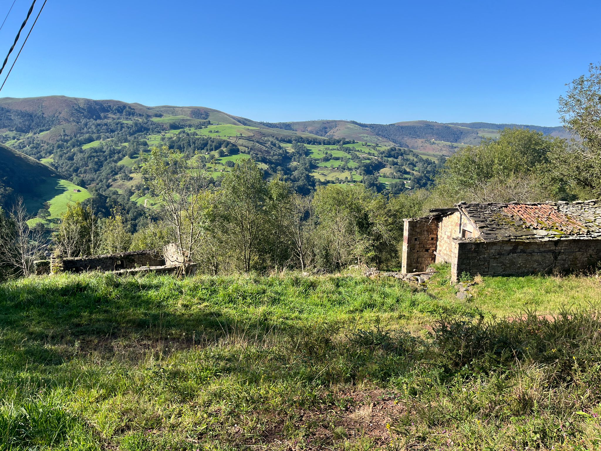IMG-20250926-WA0034
