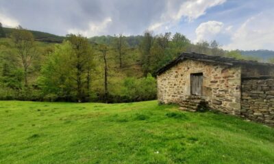 foto1-4