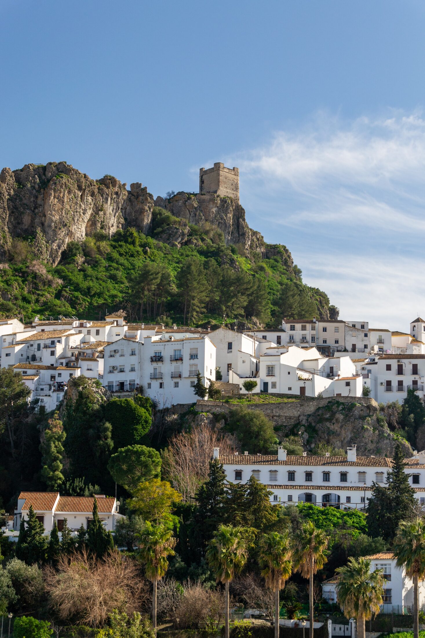 Photo by <a href="https://unsplash.com/@davidvives" rel="nofollow">David Vives</a> on <a href="https://unsplash.com/?utm_source=hostinger&utm_medium=referral" rel="nofollow">Desempaquetar</a>